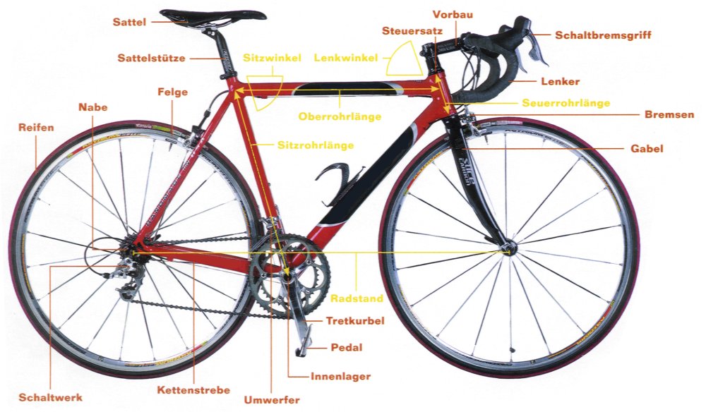 rahmenhöhe fahrrad damen messen rahmenhöhe fahrrad damen messen